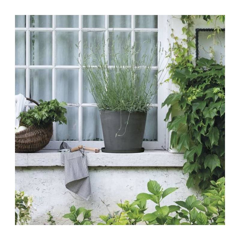 Deroma - Soucoupe - Deroma - Origin - 49,5 X H4,5 Cm - Gris - Image 2