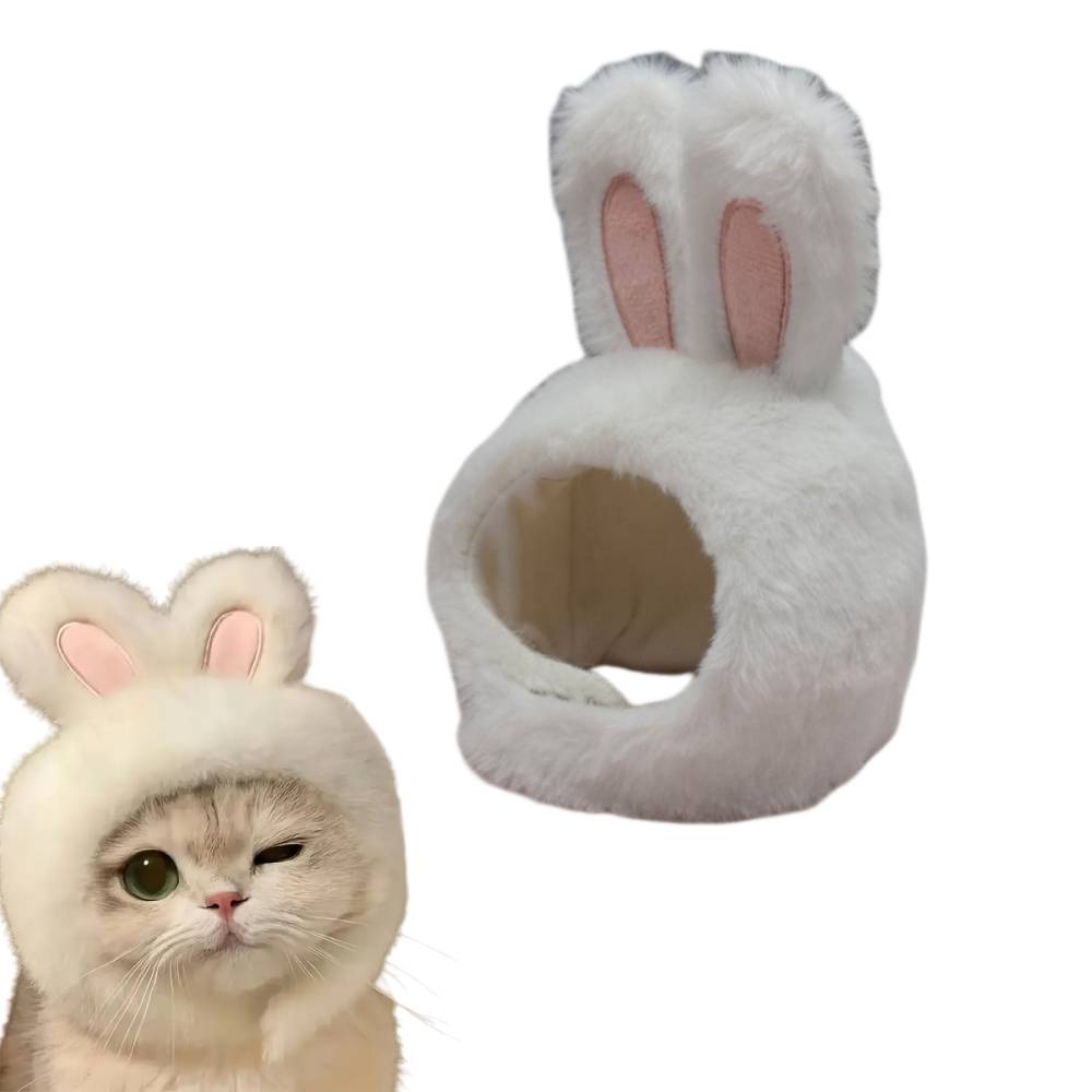 Costume d'Halloween pour chat - IntiMeg