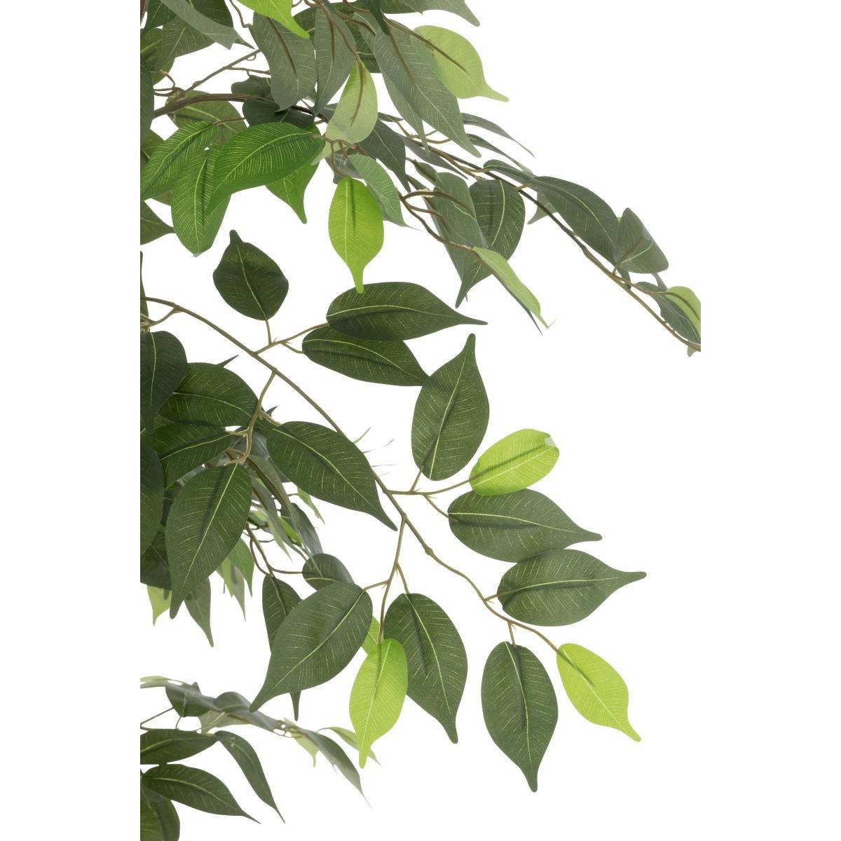 Plante Artificielle en Pot "Ficus" 180cm Vert - Image 2