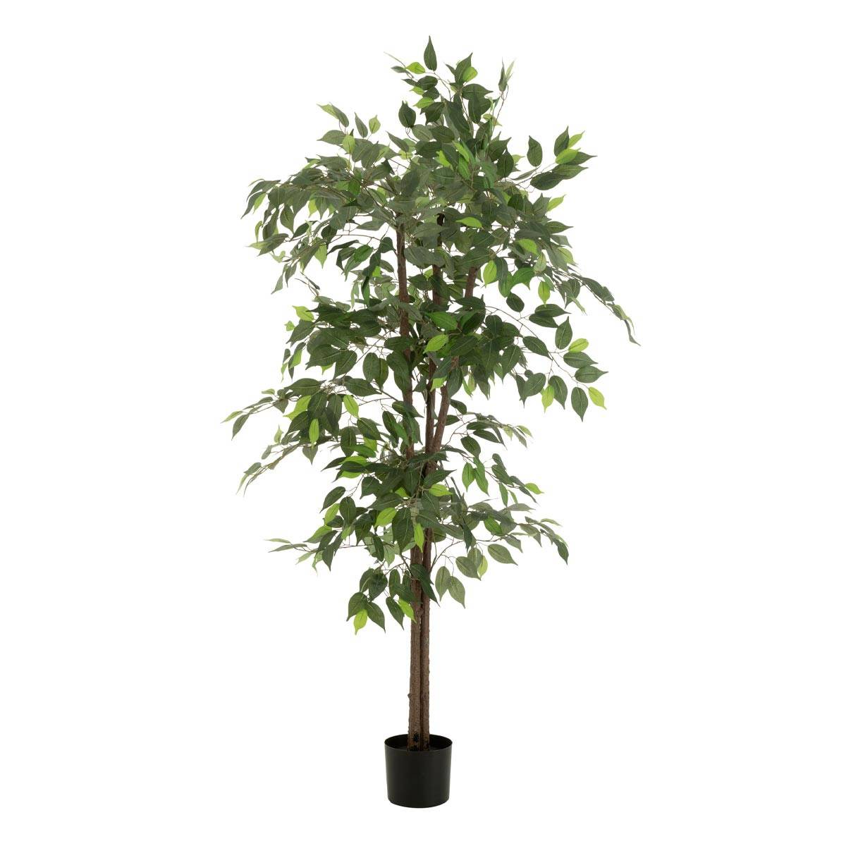 Plante Artificielle en Pot "Ficus" 180cm Vert - Image 1