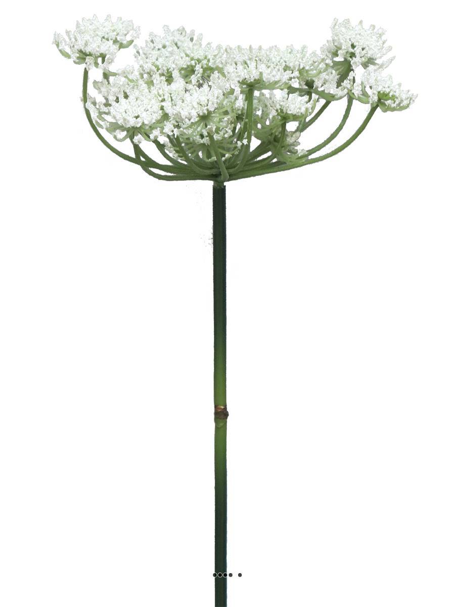 Artificielles - Fleur de carotte sauvage artificielle en tige, H 72 cm Crème - BEST - couleur: Crème - Imagen 2