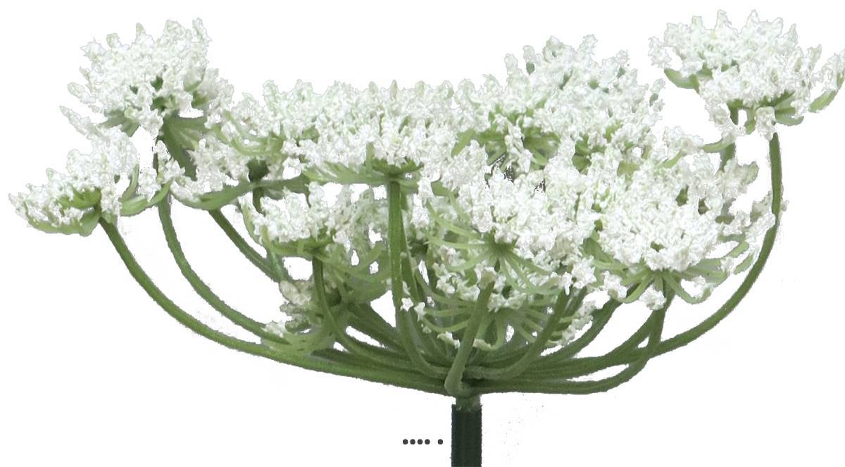 Artificielles - Fleur de carotte sauvage artificielle en tige, H 72 cm Crème - BEST - couleur: Crème - Imagen 4