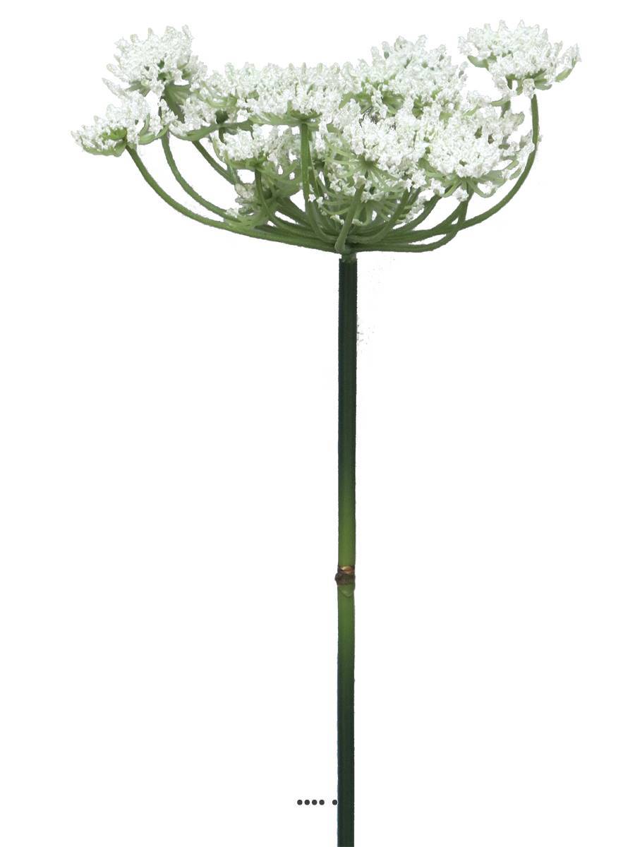 Artificielles - Fleur de carotte sauvage artificielle en tige, H 72 cm Crème - BEST - couleur: Crème - Imagen 3
