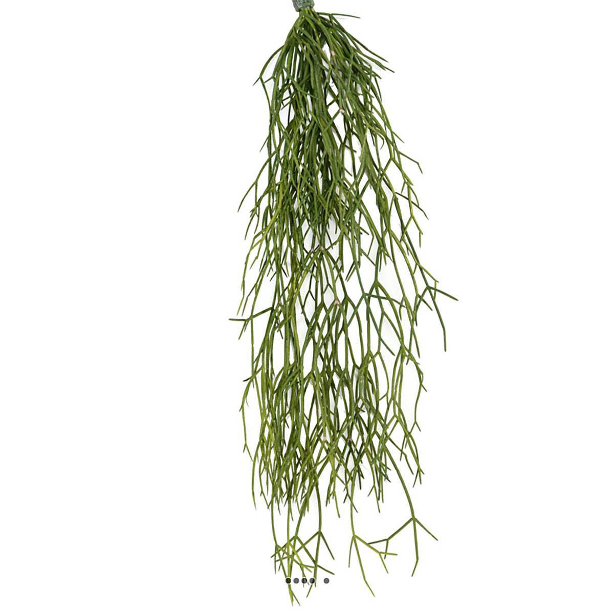 Artificielles - Chute de cactus rhipsalis artificiel L 60 cm l 20 cm - Imagen 1