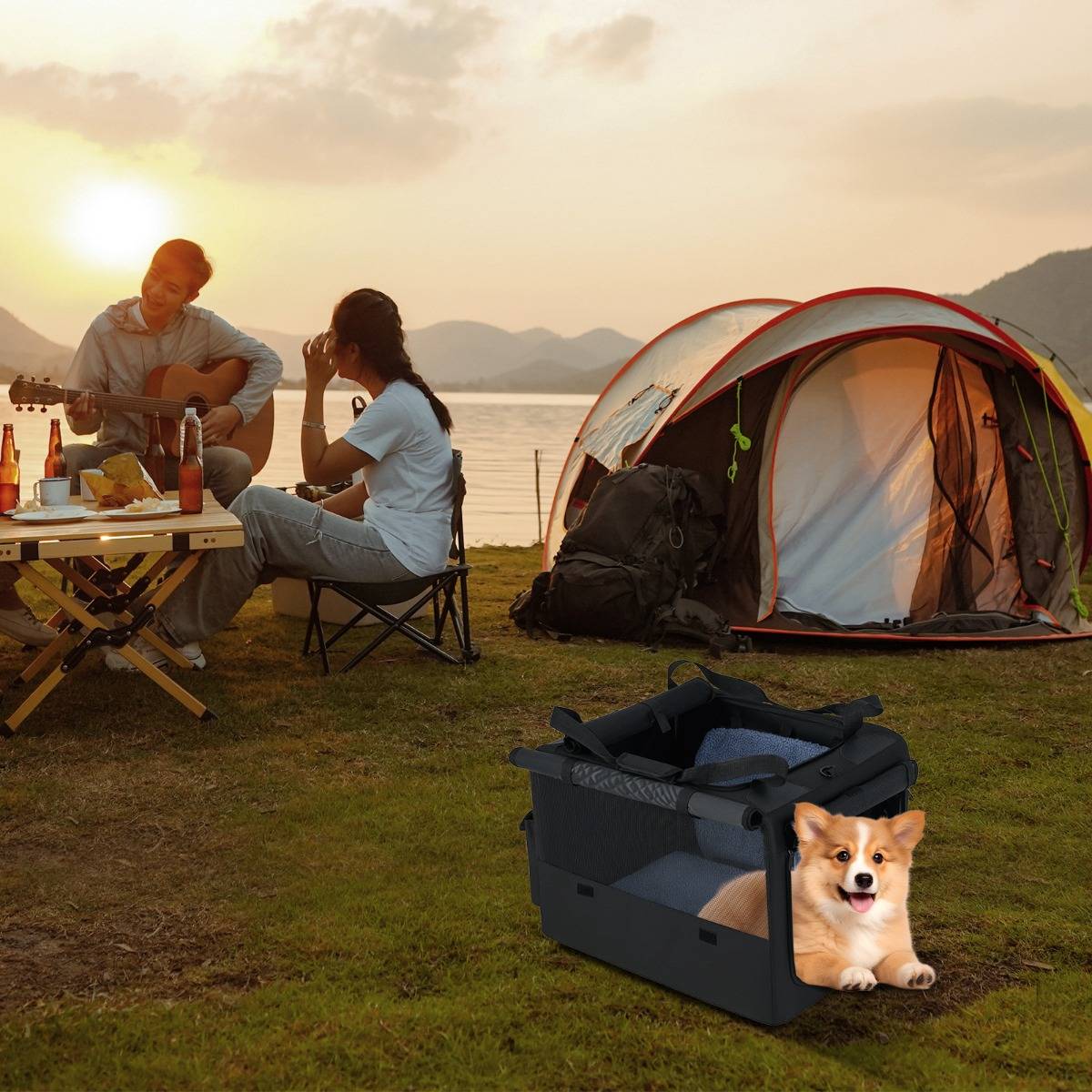 Cage de Transport Pliable pour Chien Sac de Transport Portable avec 2 Ouvertures et Fenêtre Panier Intérieur en Maille Poches Latérales Noir - Image 2