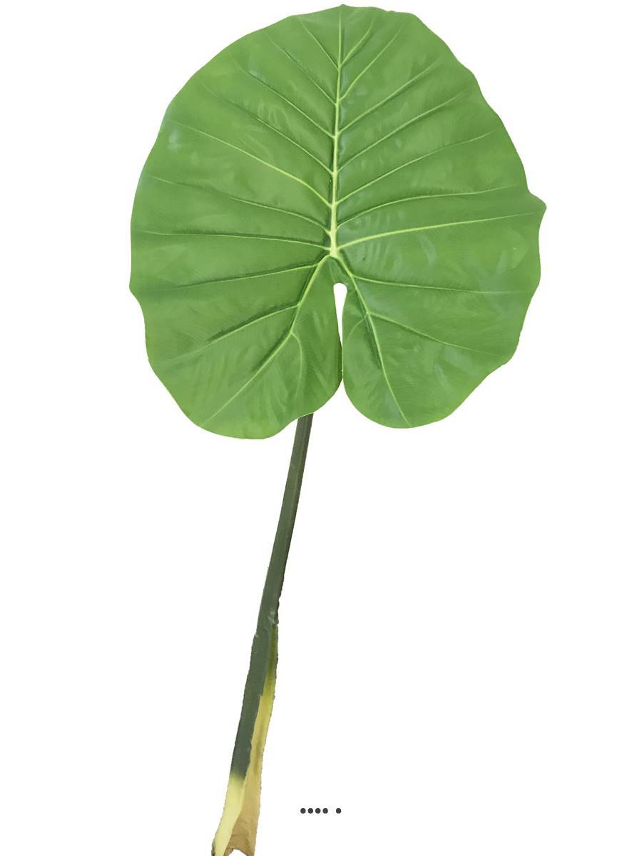 Artificielles - Feuille de Colocasia géante artificielle, H 95 cm - BEST - Imagen 2