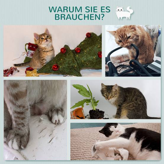 Arbre à chat mural/mur d'escalade, 66 x 28 x 137 cm, en bois gris clair beige, idéal pour les amoureux des chats - Image 6