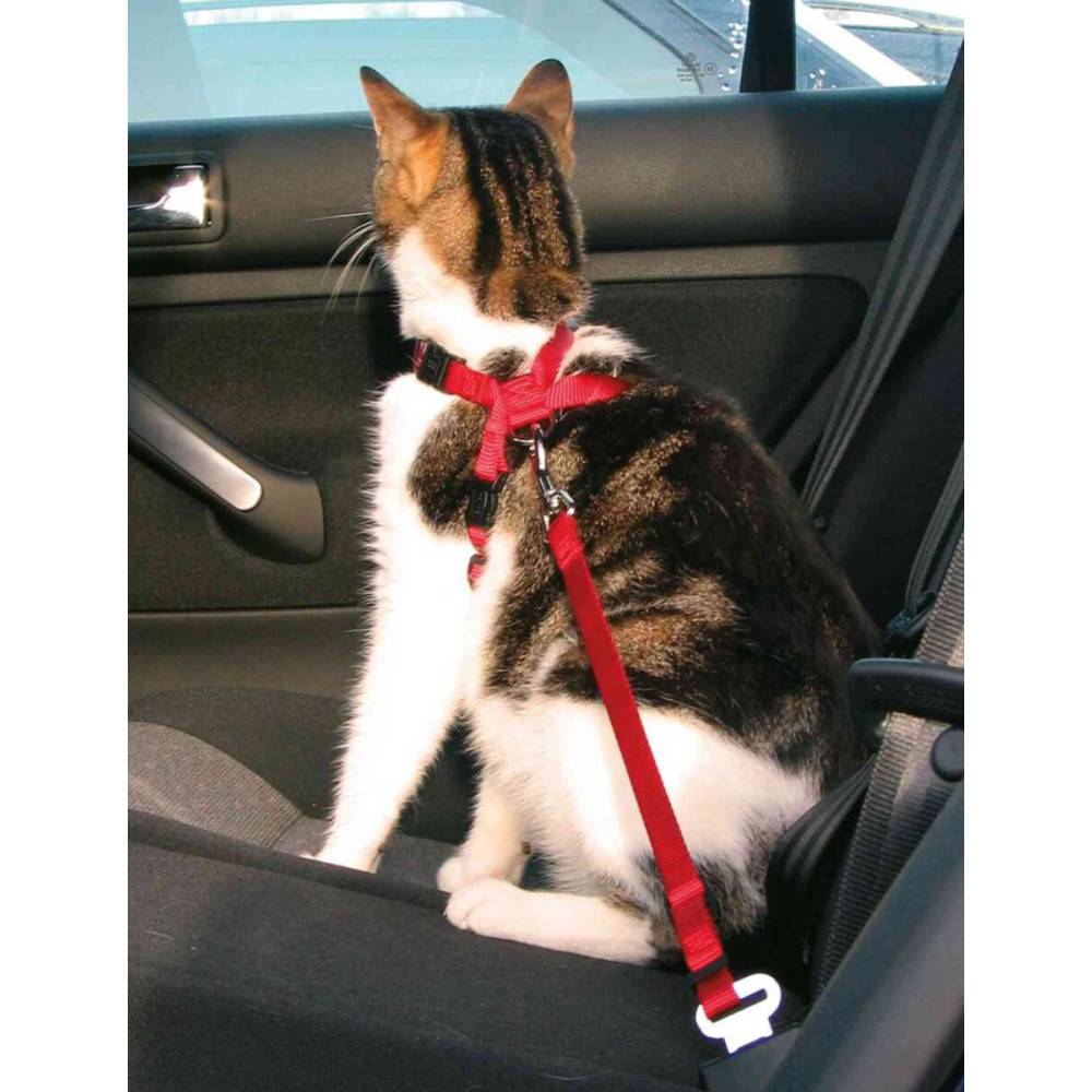 Trixie - Trixie - Harnais pour chat  spéciale pour voiture - Imagen 2