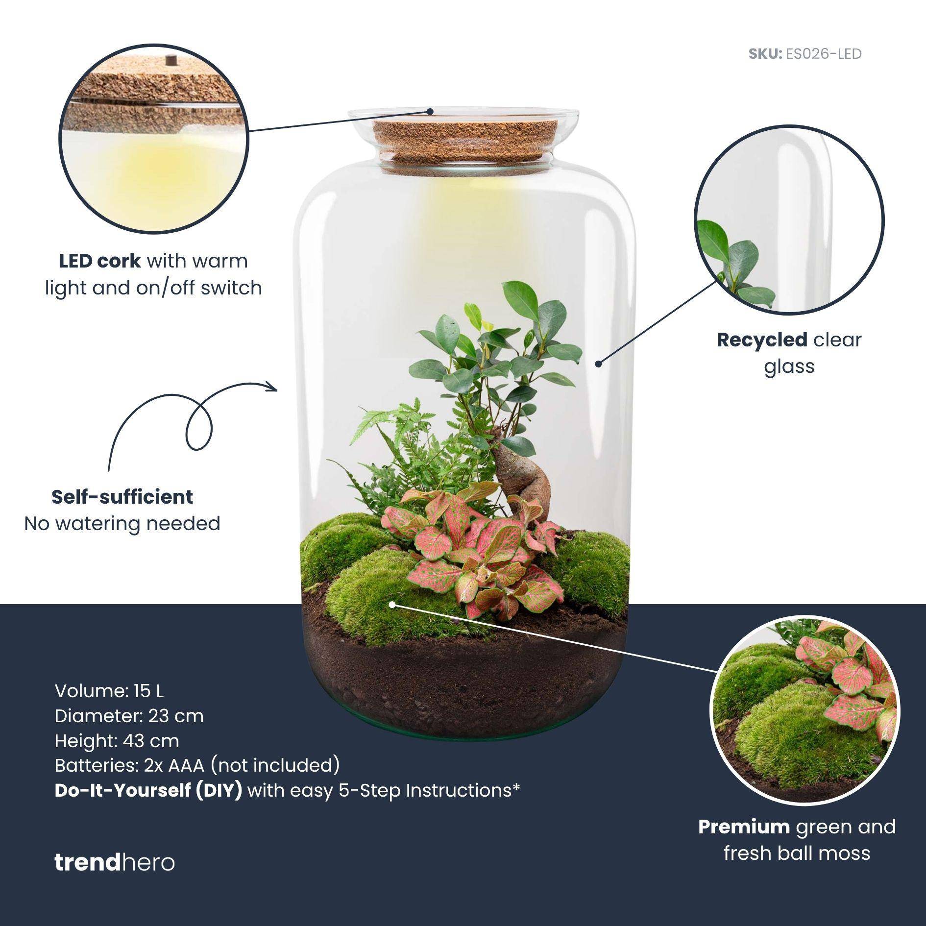 Terrarium à composer bouteille en verre recyclé - Ø23-H43cm - avec râteau et pelle - Ficus Ginseng - Terrarium DIY - Image 3