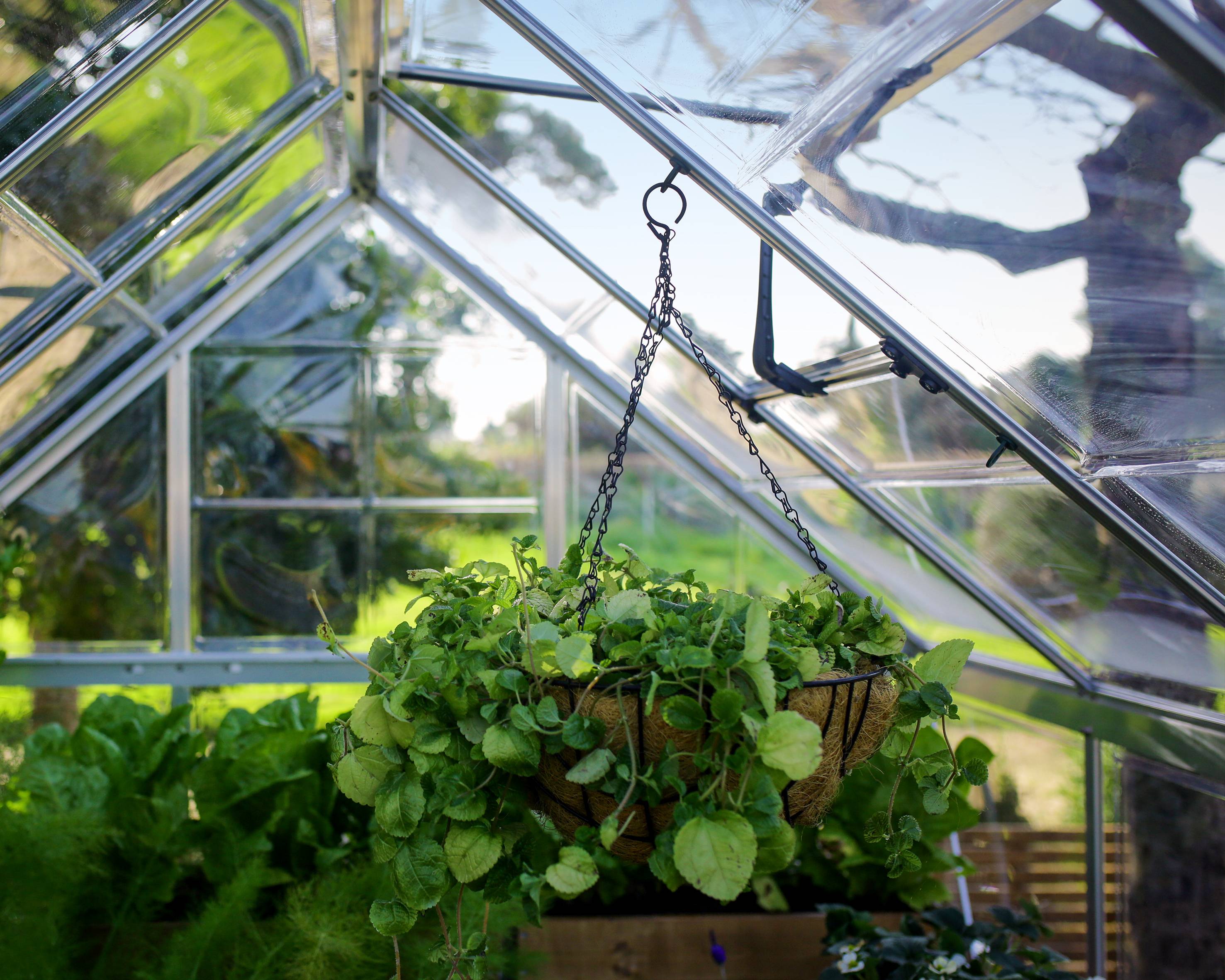 Canopia - Canopia Cintres de suspension pour plantes - Imagen 5