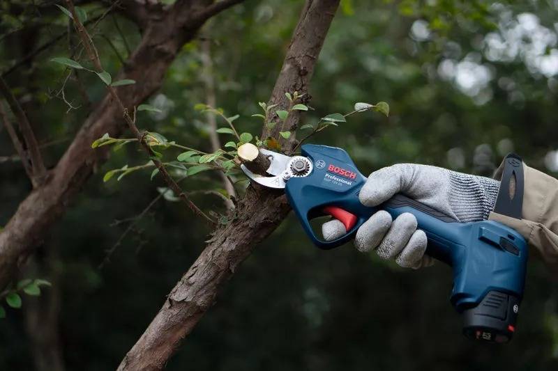 Bosch - Élagueur sans fil Pro Pruner GGP 12V-25 Professional sans batterie, ni chargeur - BOSCH - 06008D8101 - Image 5