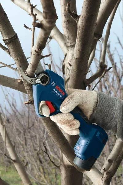 Bosch - Élagueur sans fil Pro Pruner GGP 12V-25 Professional sans batterie, ni chargeur - BOSCH - 06008D8101 - Image 6