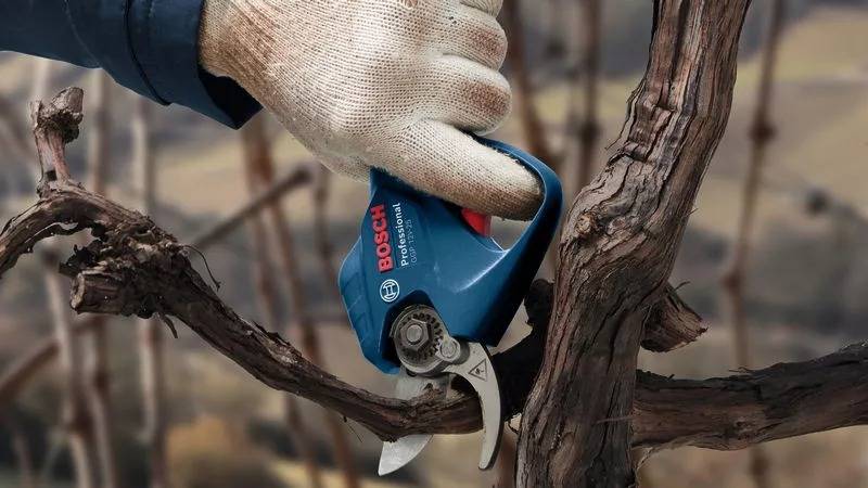 Bosch - Élagueur sans fil Pro Pruner GGP 12V-25 Professional sans batterie, ni chargeur - BOSCH - 06008D8101 - Image 4