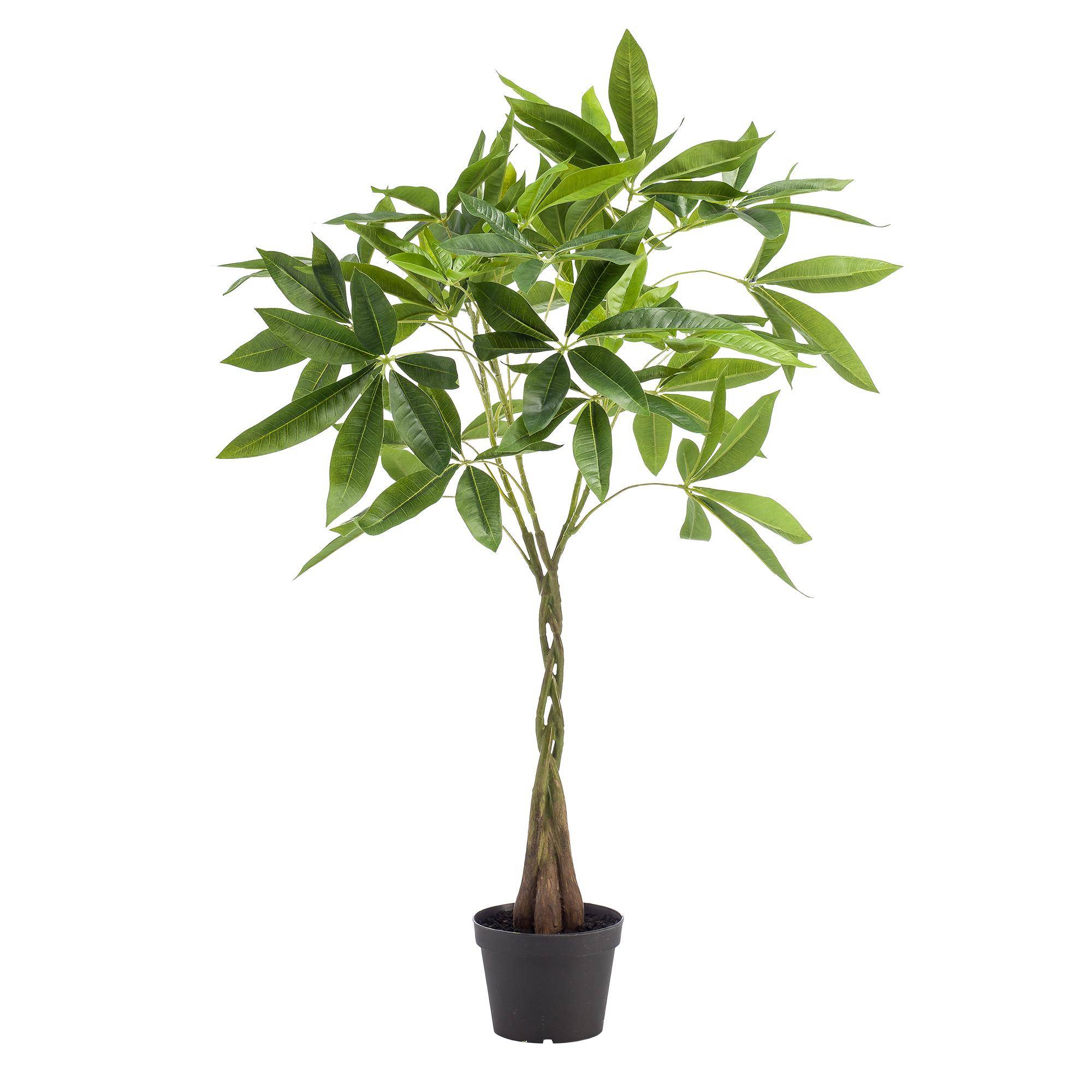 Plante Artificielle Pachira Aquatica Déco Intérieur Tronc Réaliste 90cm - ComfortXL Green Living - Image 4