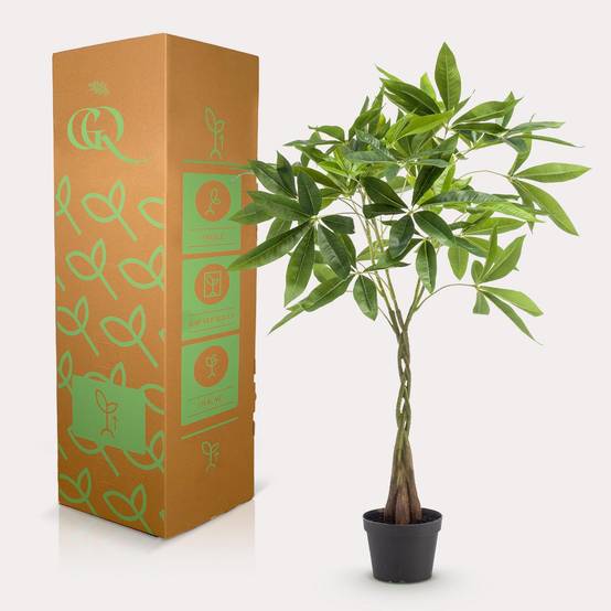 Plante Artificielle Pachira Aquatica Déco Intérieur Tronc Réaliste 90cm - ComfortXL Green Living - Image 5