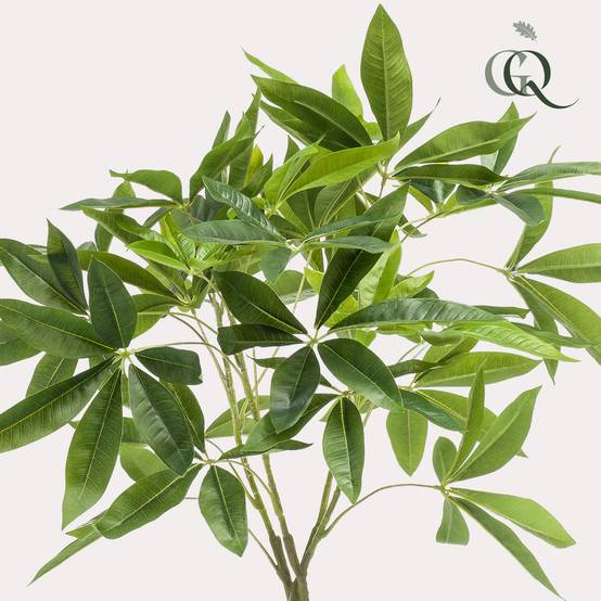 Plante Artificielle Pachira Aquatica Déco Intérieur Tronc Réaliste 90cm - ComfortXL Green Living - Image 2