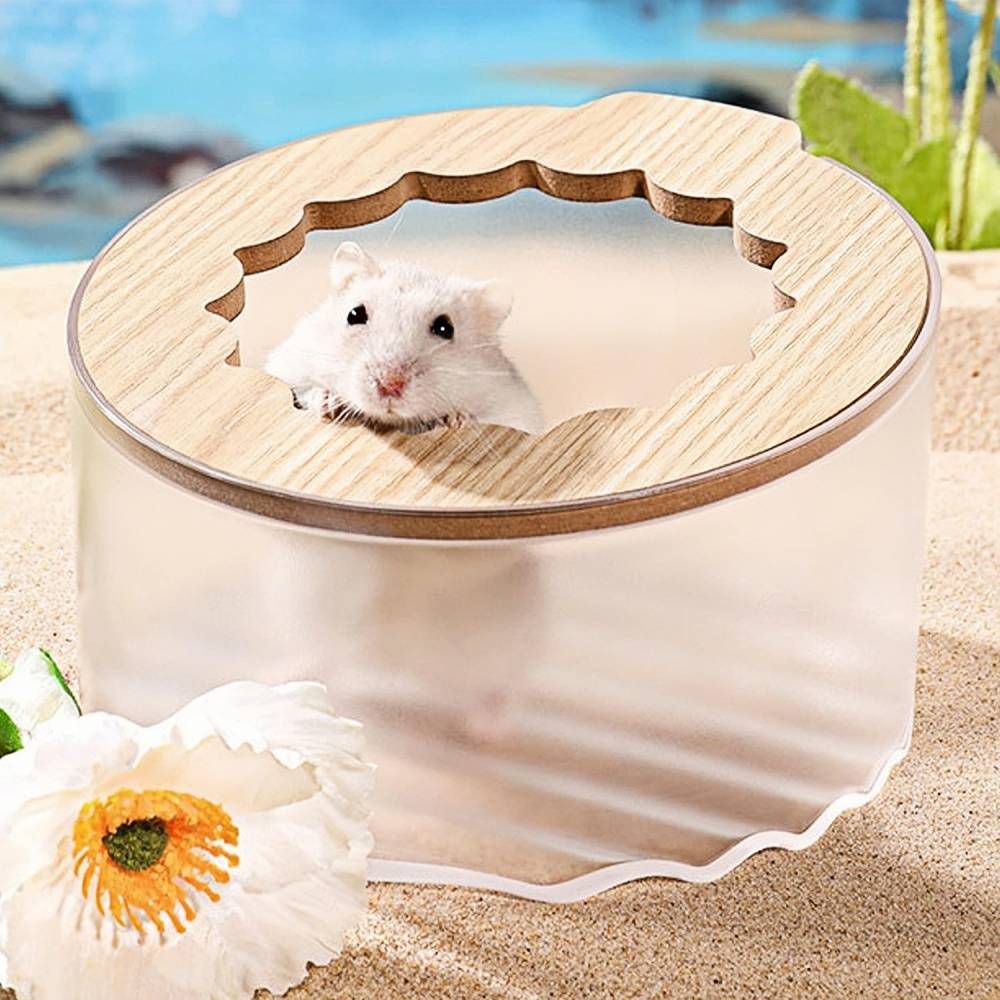 DtopbuyAge - Bac de bain de sable pour hamster DtopbuyAge - Image 1