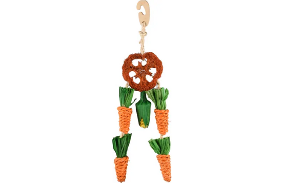 Carottes à suspendre