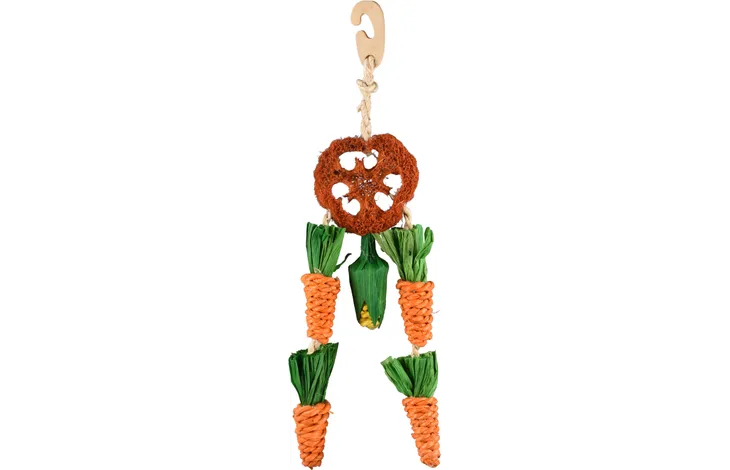Carottes à suspendre