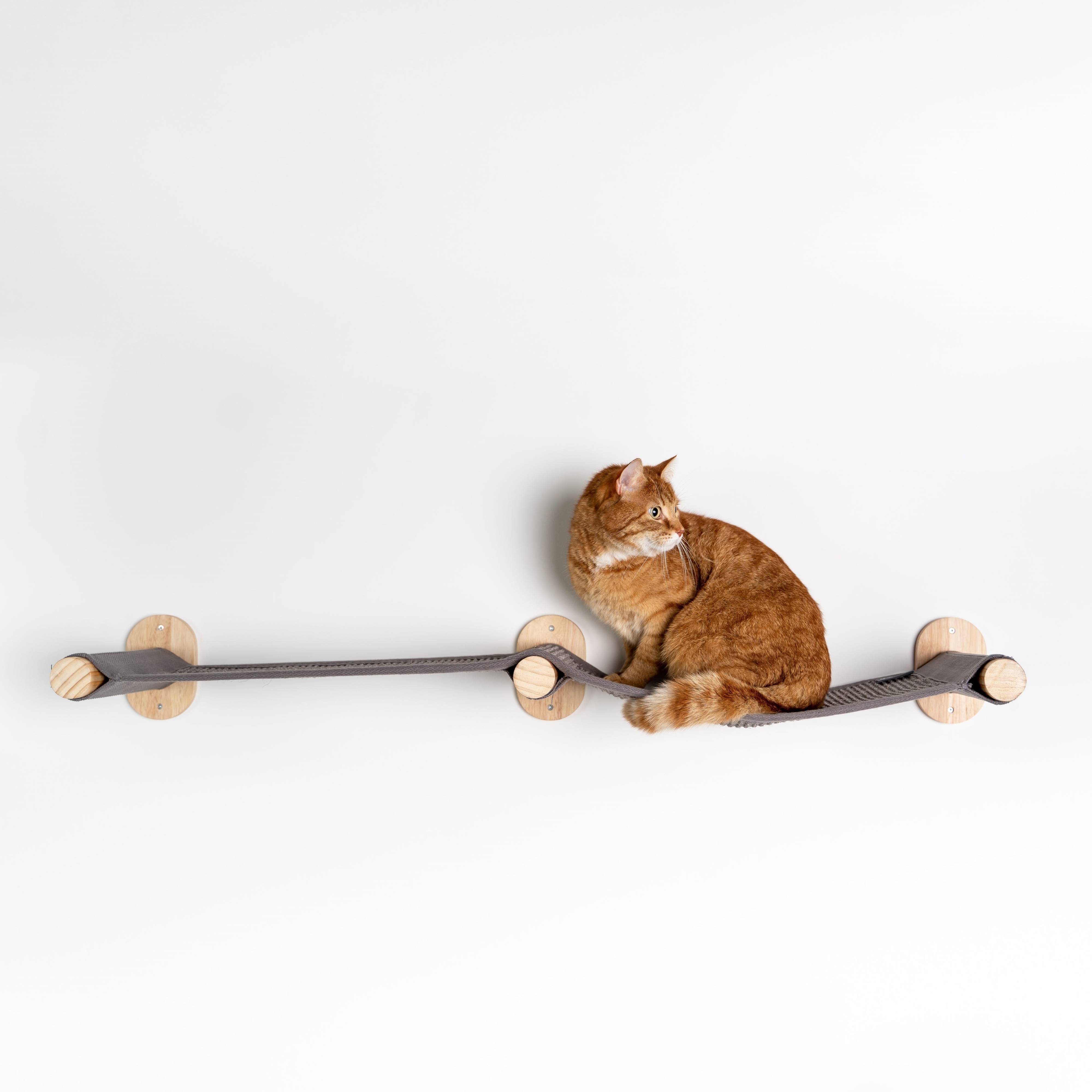 Rhr Concepts Bv - Meuble de mur Mur d'escalade Chat - Pont de mur (Blackline) - RHR Concepts BV - Imagen 3