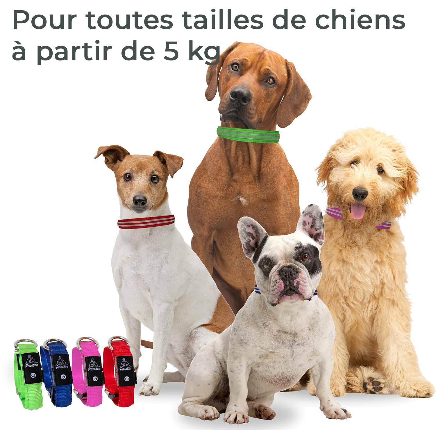 Petsation - Collier Lumineux pour Chien - Rechargeable par USB - Nylon renforcé - Haute Qualité, Stabilité & Sécurité (rouge L) - Petsation - Imagen 4