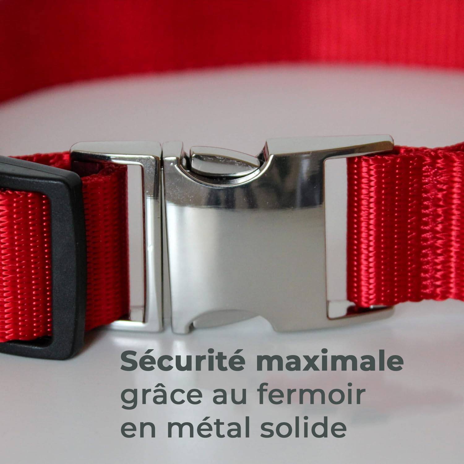 Petsation - Collier Lumineux pour Chien - Rechargeable par USB - Nylon renforcé - Haute Qualité, Stabilité & Sécurité (rouge L) - Petsation - Imagen 6