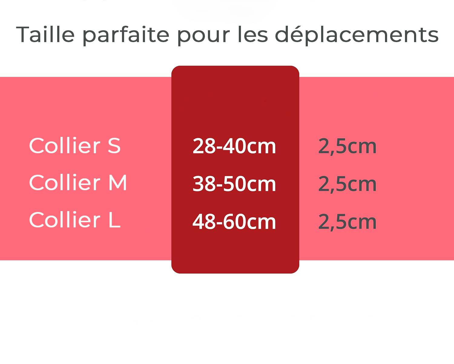 Petsation - Collier Lumineux pour Chien - Rechargeable par USB - Nylon renforcé - Haute Qualité, Stabilité & Sécurité (rouge L) - Petsation - Imagen 5