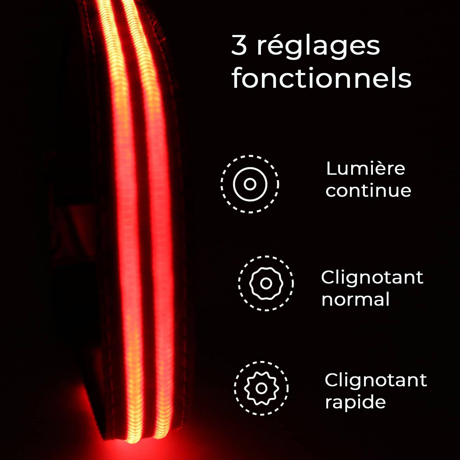 Petsation - Collier Lumineux pour Chien - Rechargeable par USB - Nylon renforcé - Haute Qualité, Stabilité & Sécurité (rouge L) - Petsation - Imagen 3