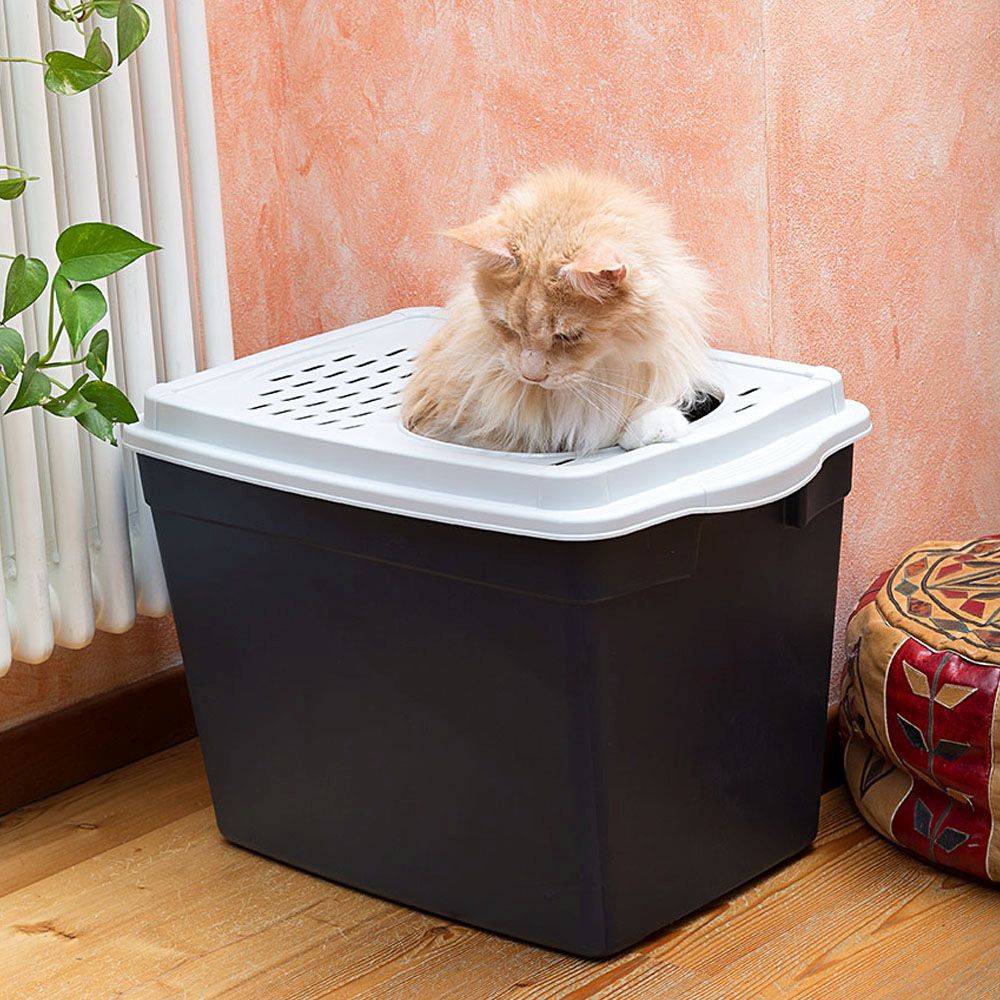 Ferplast - Ferplast Bac à Litière pour Chat, Toilettes Couvertes pour Chat, avec Entrée Supérieure, Couvercle Perforé, 38,8 x 57,5 xh 39 cm, Grand Bac à Litière - Imagen 3