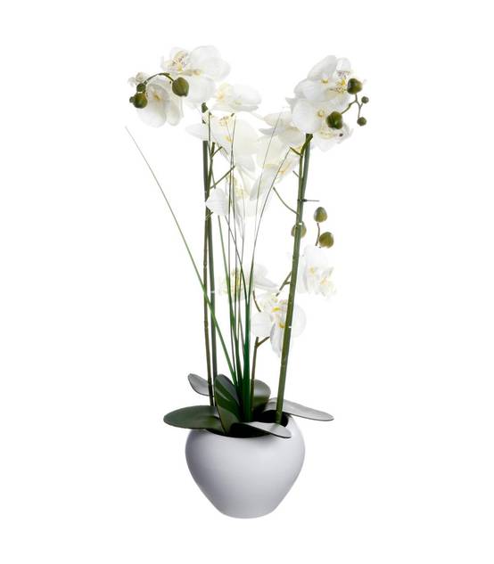 Plante artificielle Orchidée dans un pot en céramique blanche H 53 cm - Image 1