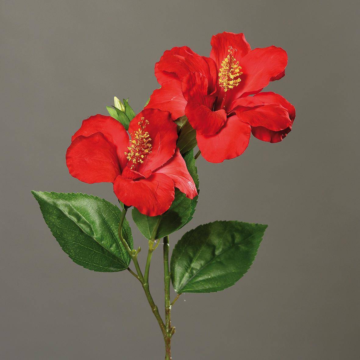 Artificielles - Hibiscus artificiel en branche H 65 cm 2 fleurs exotiques Rouge - couleur: Rouge - Imagen 2