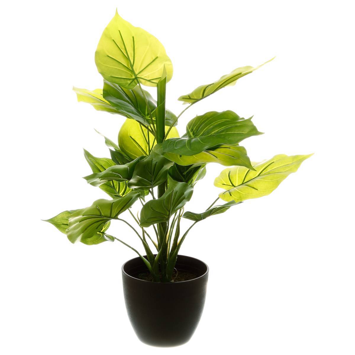 Atmosphera - Plante artificielle pot ciment H45cm - Atmosphera Créateur d'intérieur - Imagen 3