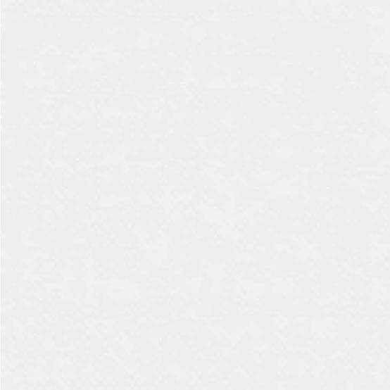 PANGIVO - Housse de protection hivernale tissu non tissé blanc 350 x 250 cm - PANGIVO - Image 8