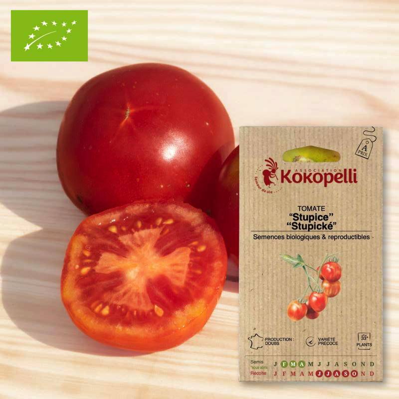 Tomate Stupice- Graines bio à semer - Imagen 1