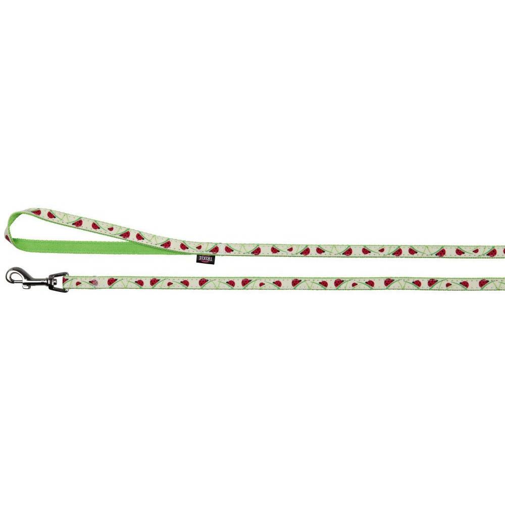 Trixie - Trixie - Collier réglable de 22 à 33 cm, couleur phosphorescent avec laisse chat - Imagen 3