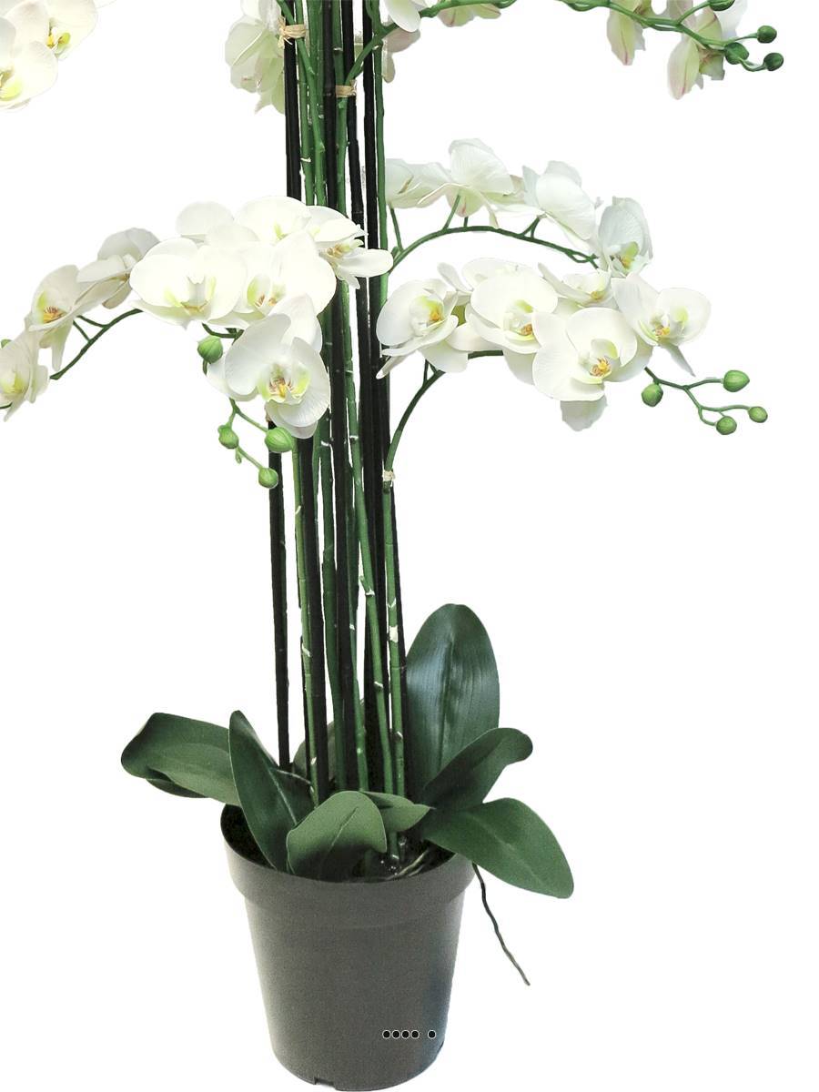 Artificielles - Orchidée Phalaenopsis factice en pot qualité déco H140cm Crème - BEST - dimhaut: H 140 cm - couleur: Crème - Imagen 4