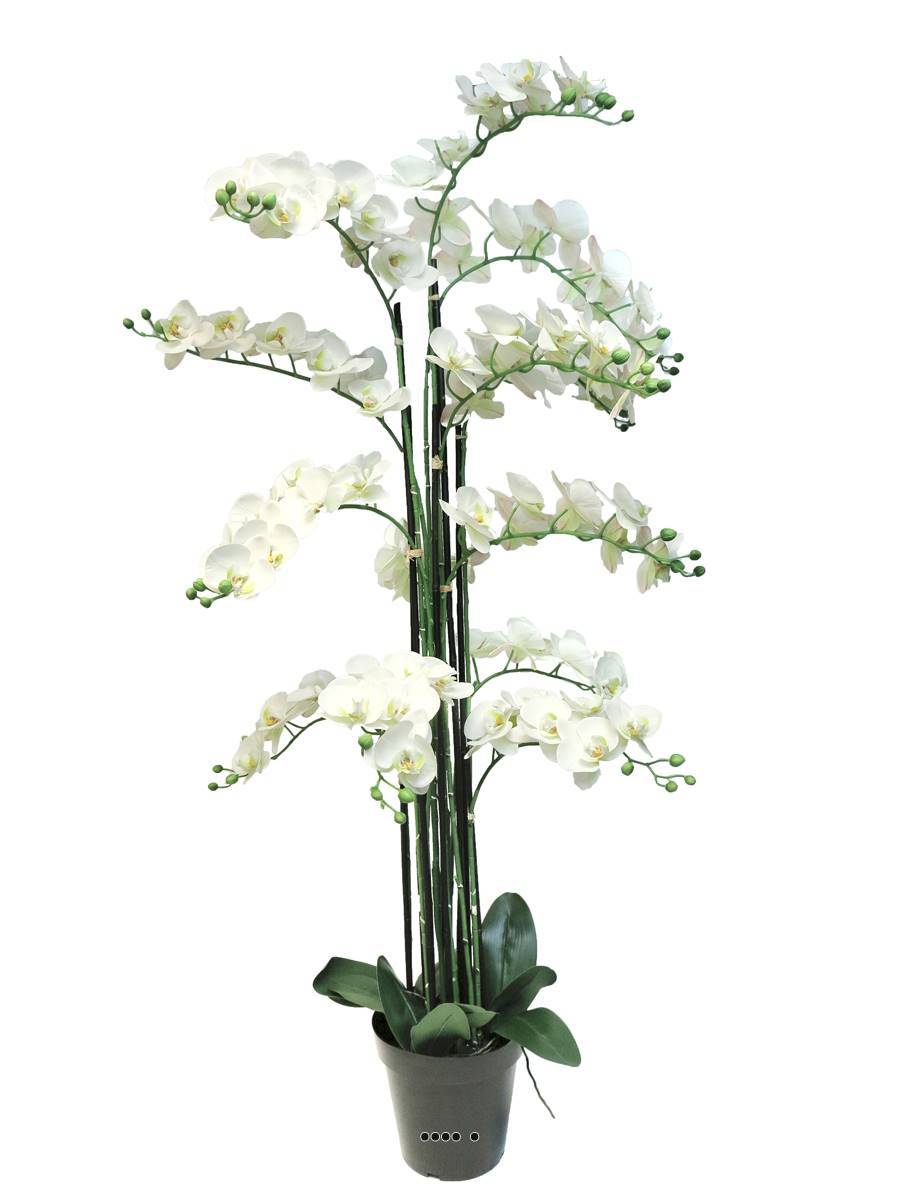 Artificielles - Orchidée Phalaenopsis factice en pot qualité déco H140cm Crème - BEST - dimhaut: H 140 cm - couleur: Crème - Imagen 2