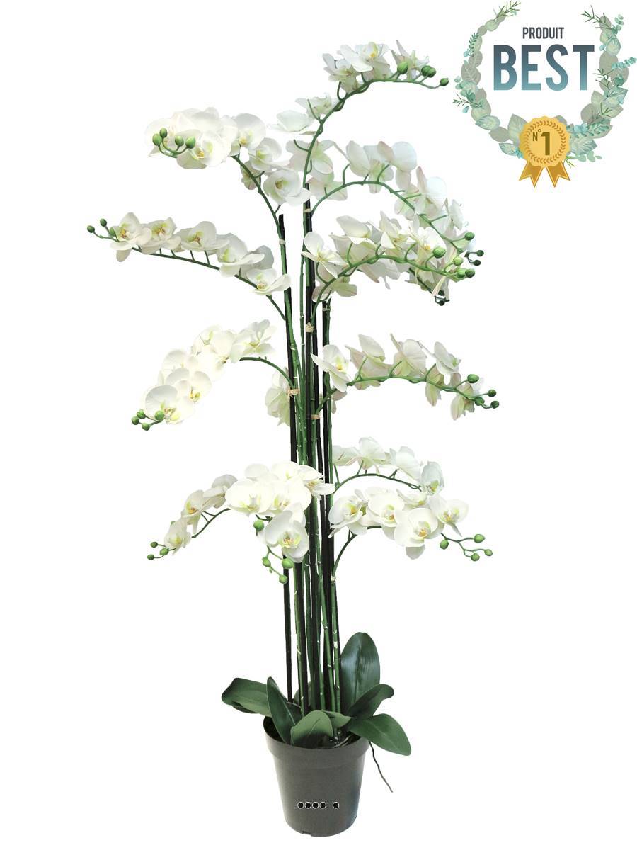 Artificielles - Orchidée Phalaenopsis factice en pot qualité déco H140cm Crème - BEST - dimhaut: H 140 cm - couleur: Crème - Imagen 1