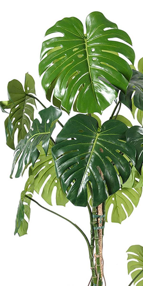 Artificielles - Monstera deliciosa artificielle, sur pied, en pot H 180 cm, D 80 cm - dimhaut: H 180 cm - Imagen 3