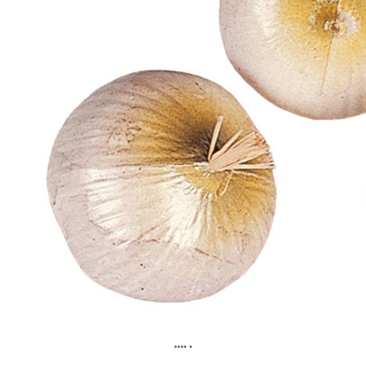 Artificielles - Oignon blanc artificiel en lot de 3 en Plastique soufflé H 75x60 mm - Imagen 3