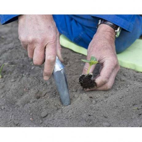 Nature - Plantoir conique - Imagen 2