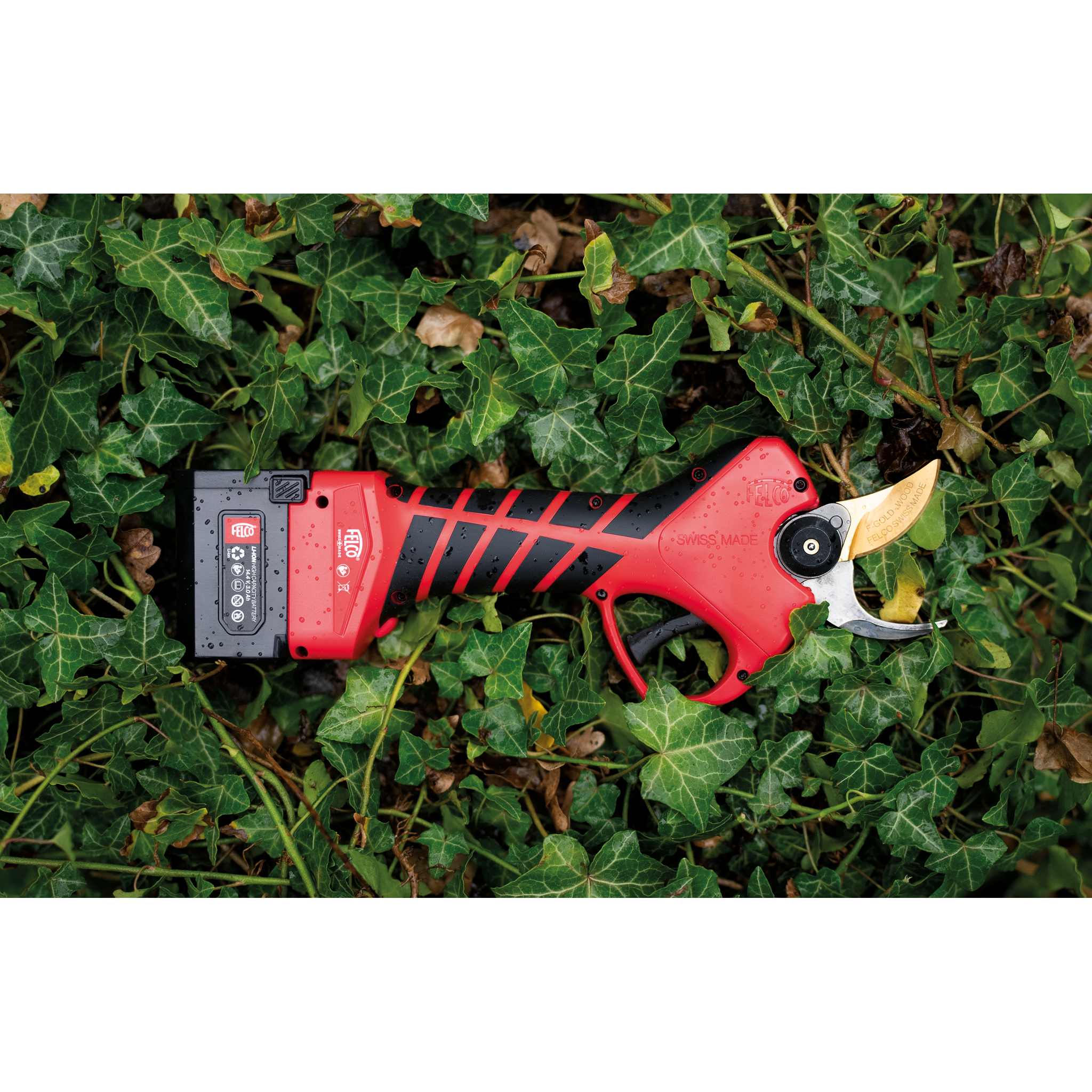Felco - FELCO 834W Sécateur électrique professionnel avec 2 batteries 14,4V, coupe jusqu’à 34 mm, lame F-GOLD WOOD, mallette de transport - Image 3
