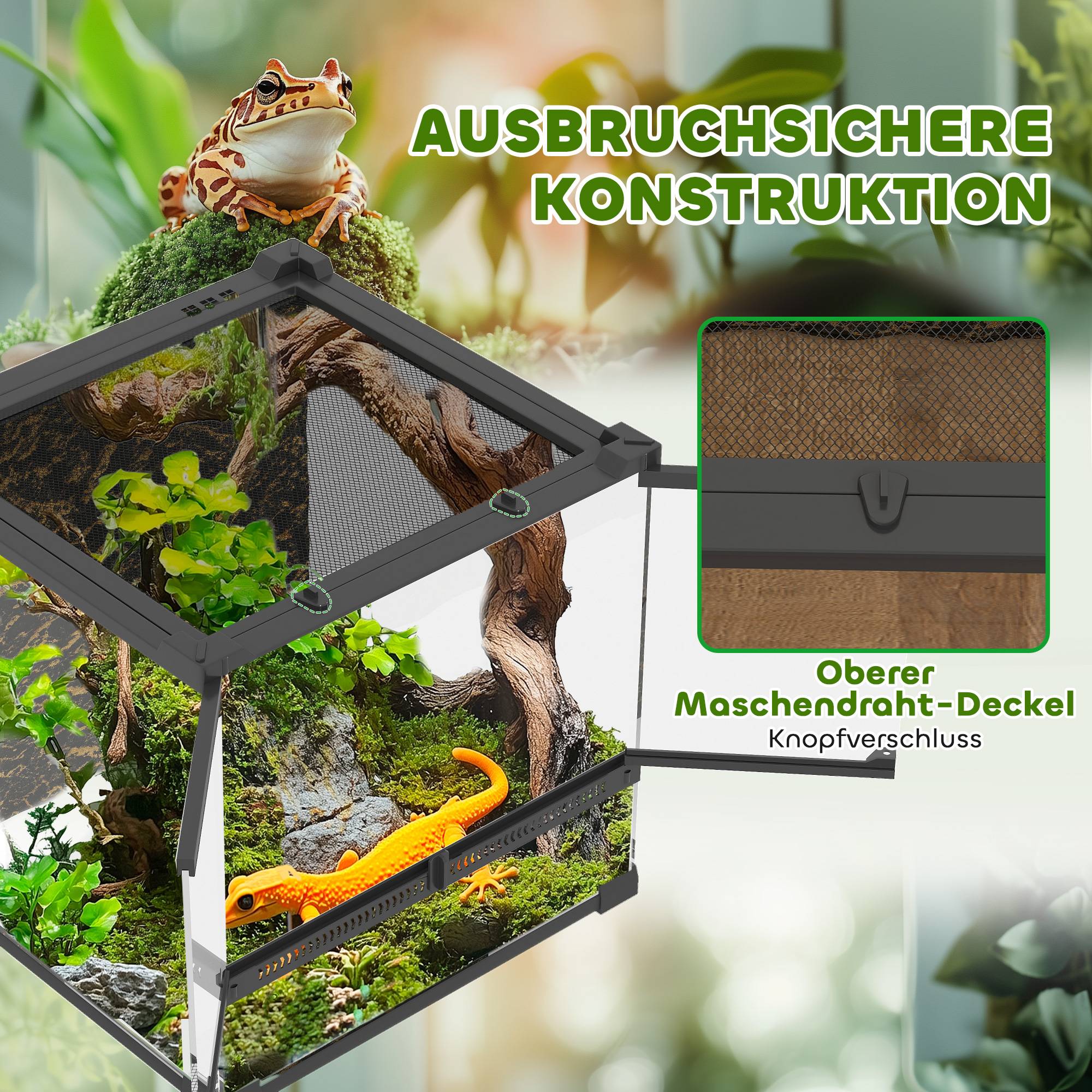Terrarium verre reptile, fond surélevé étanche, fermeture à bouton - Image 8