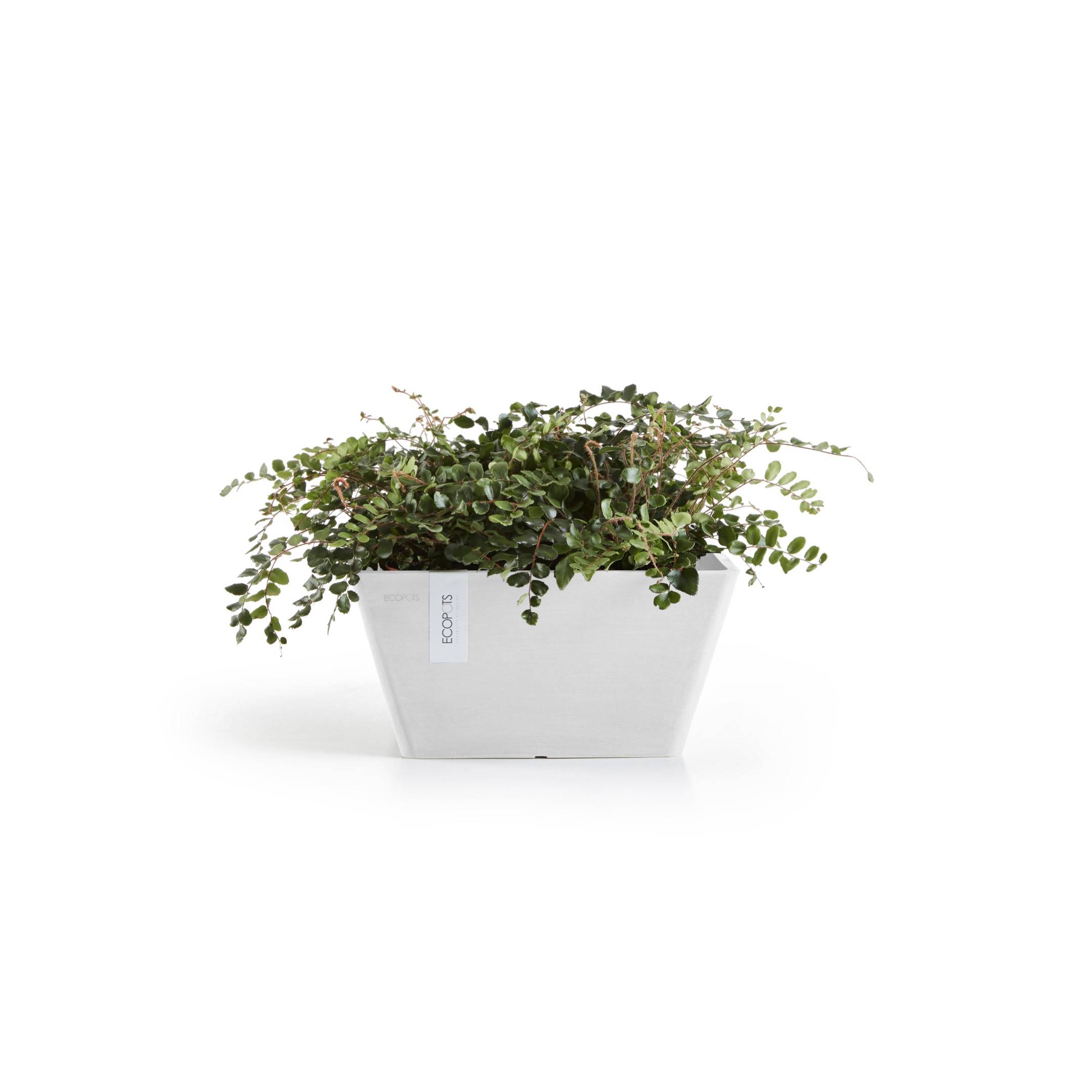 Ecopots - Pot Berlin 30 Pure White ECOPOTS - Imagen 2