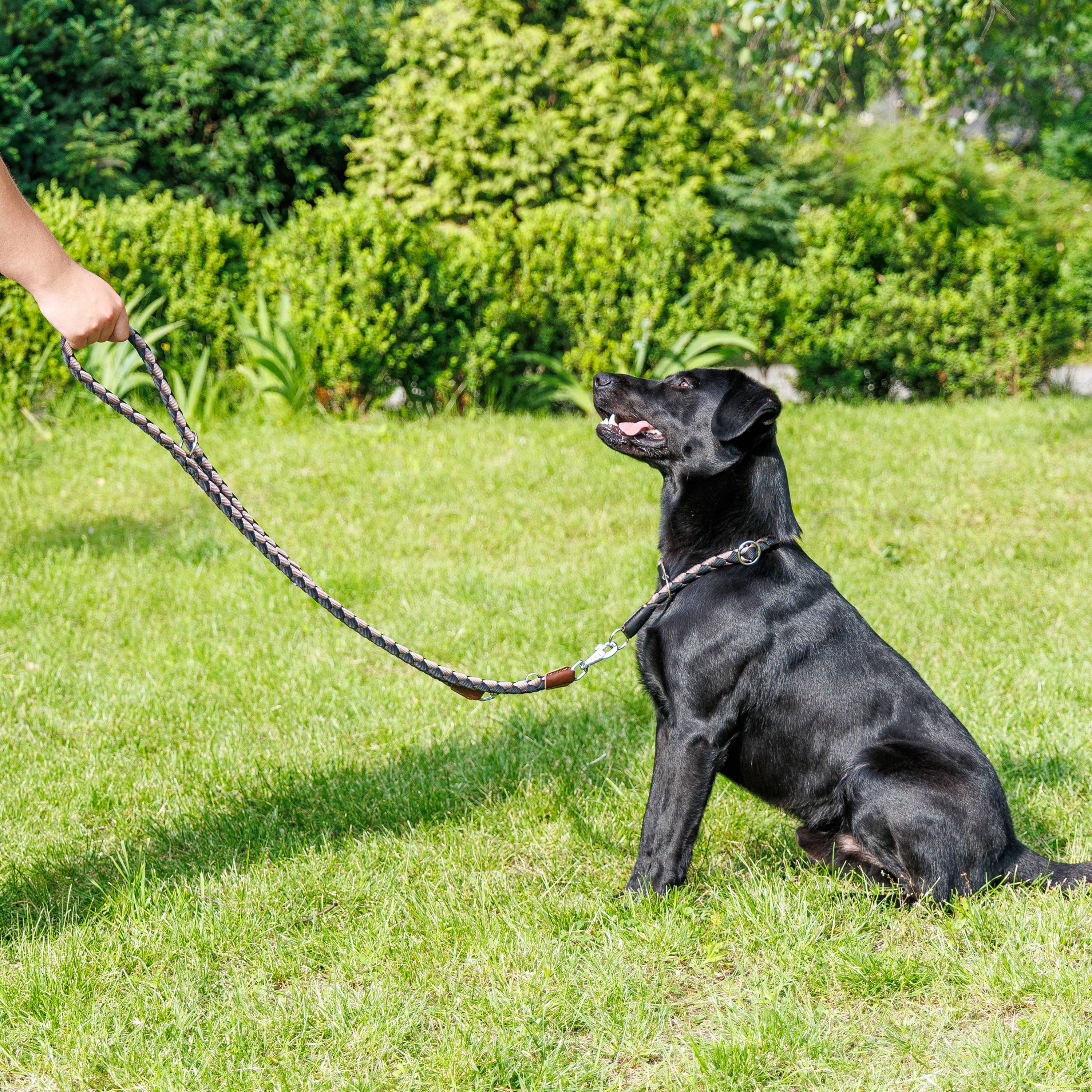 Ferplast - Laisse de Dressage pour Chiens en Nylon TWIST MATIC GA18/200, Mousqueton Magnétique Automatique - Imagen 3