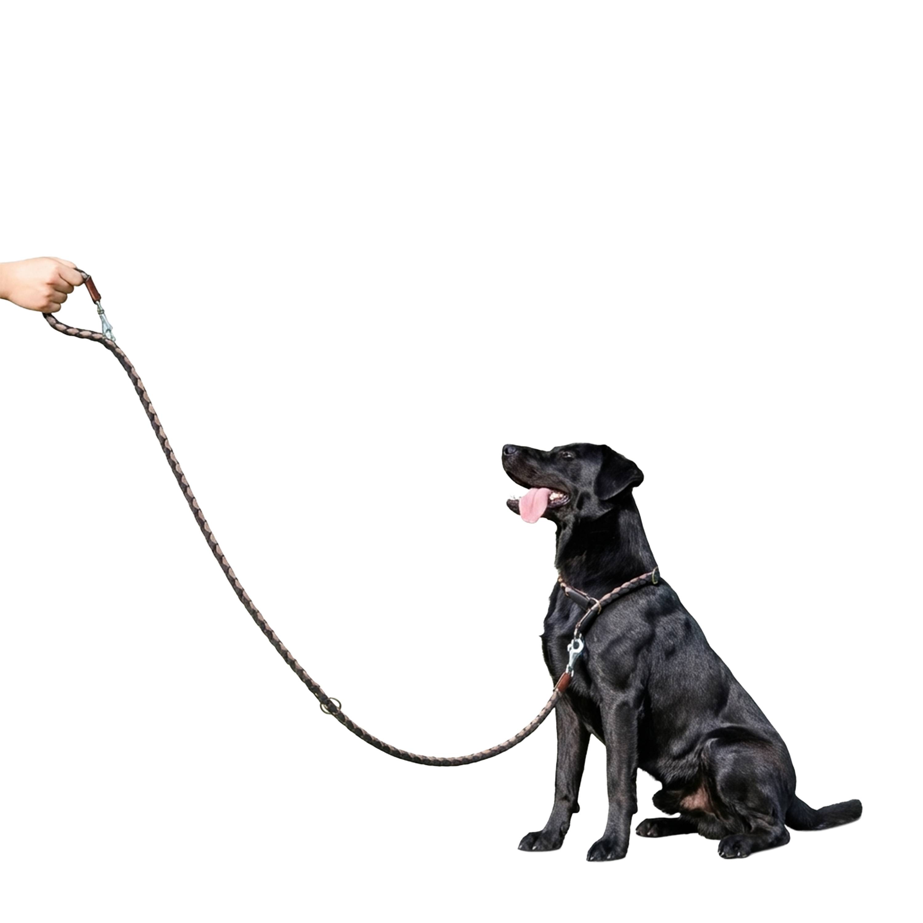 Ferplast - Laisse de Dressage pour Chiens en Nylon TWIST MATIC GA18/200, Mousqueton Magnétique Automatique - Imagen 4