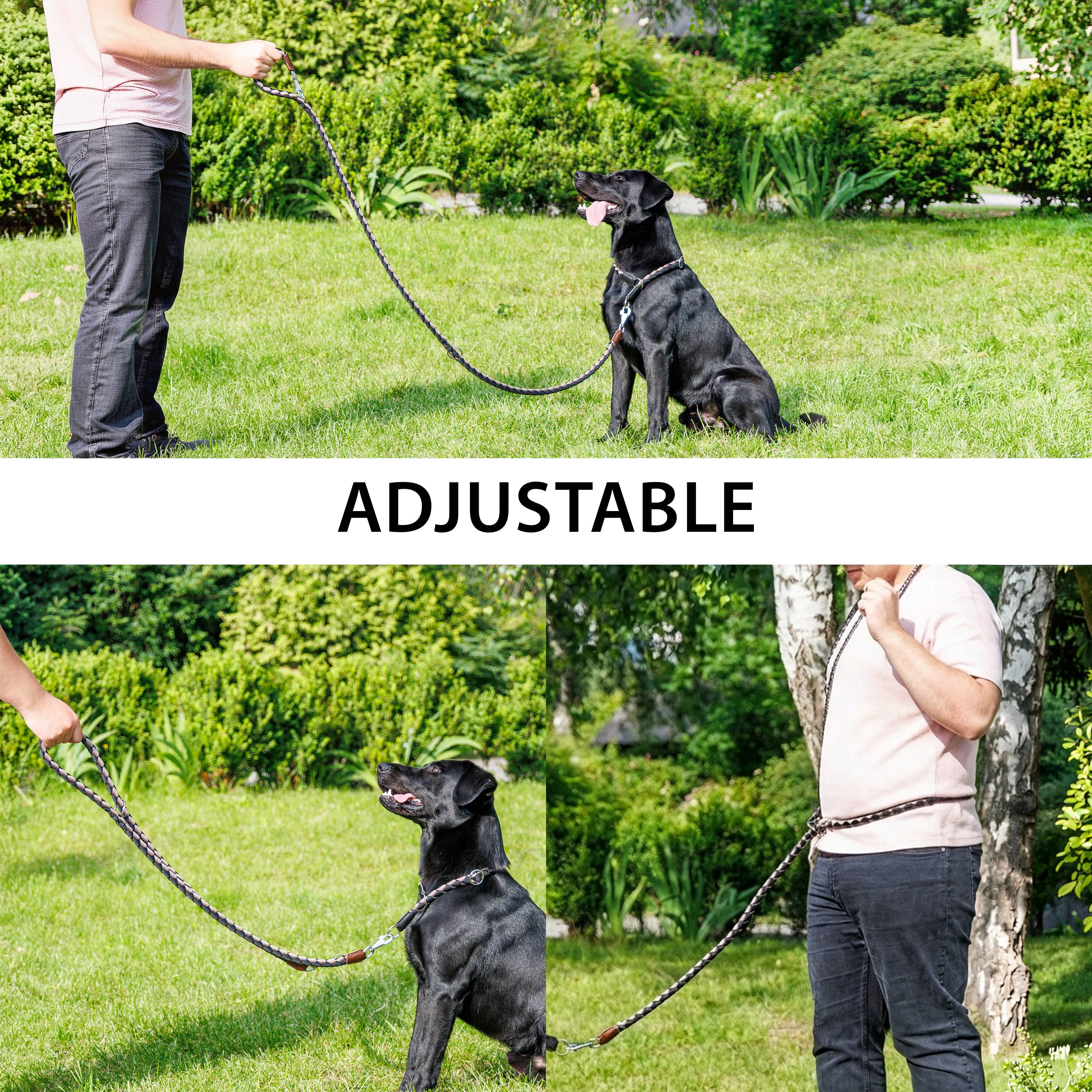 Ferplast - Laisse de Dressage pour Chiens en Nylon TWIST MATIC GA18/200, Mousqueton Magnétique Automatique - Imagen 5