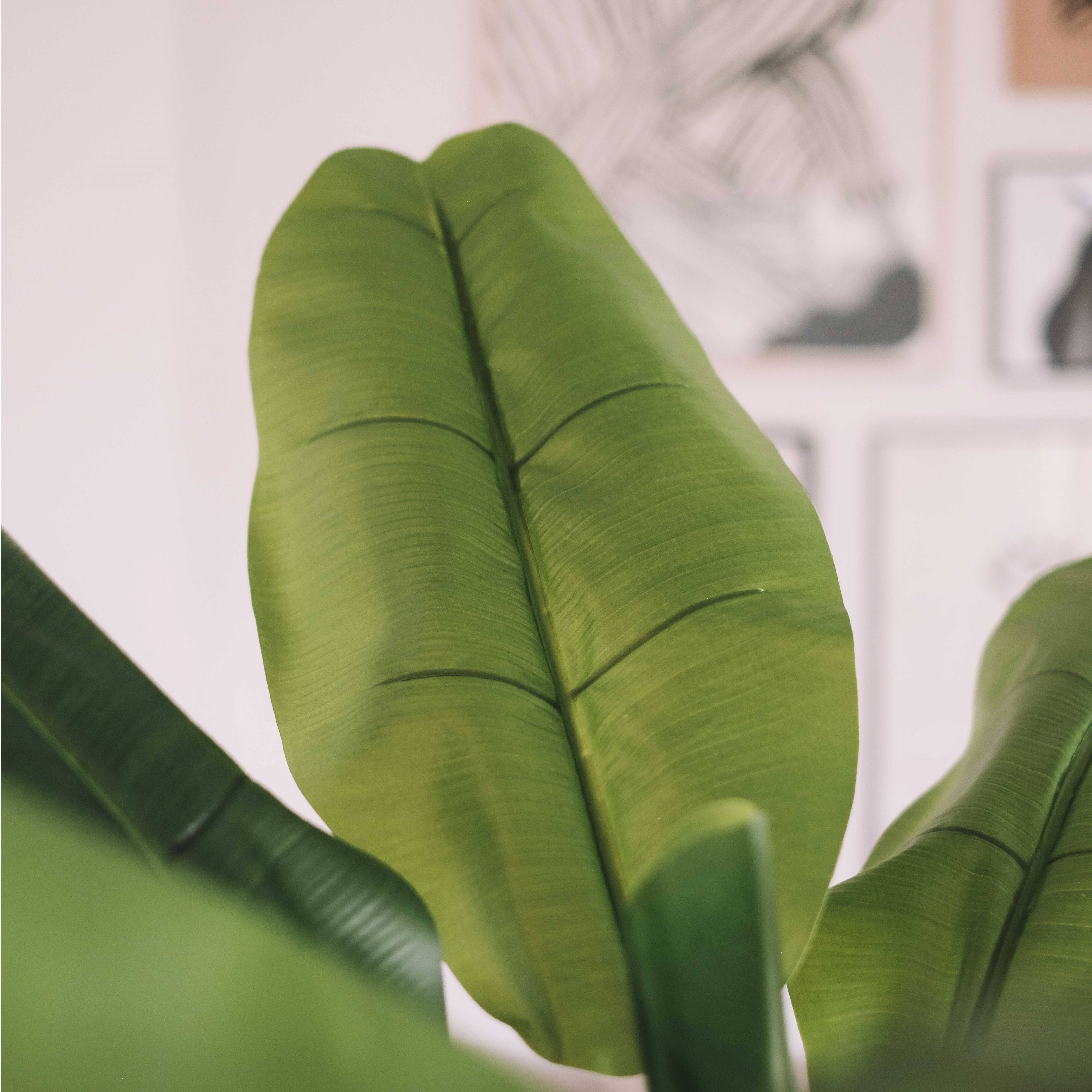 Oviala - Plante artificielle en pot Bananier 180 cm
- Oviala - Image 3
