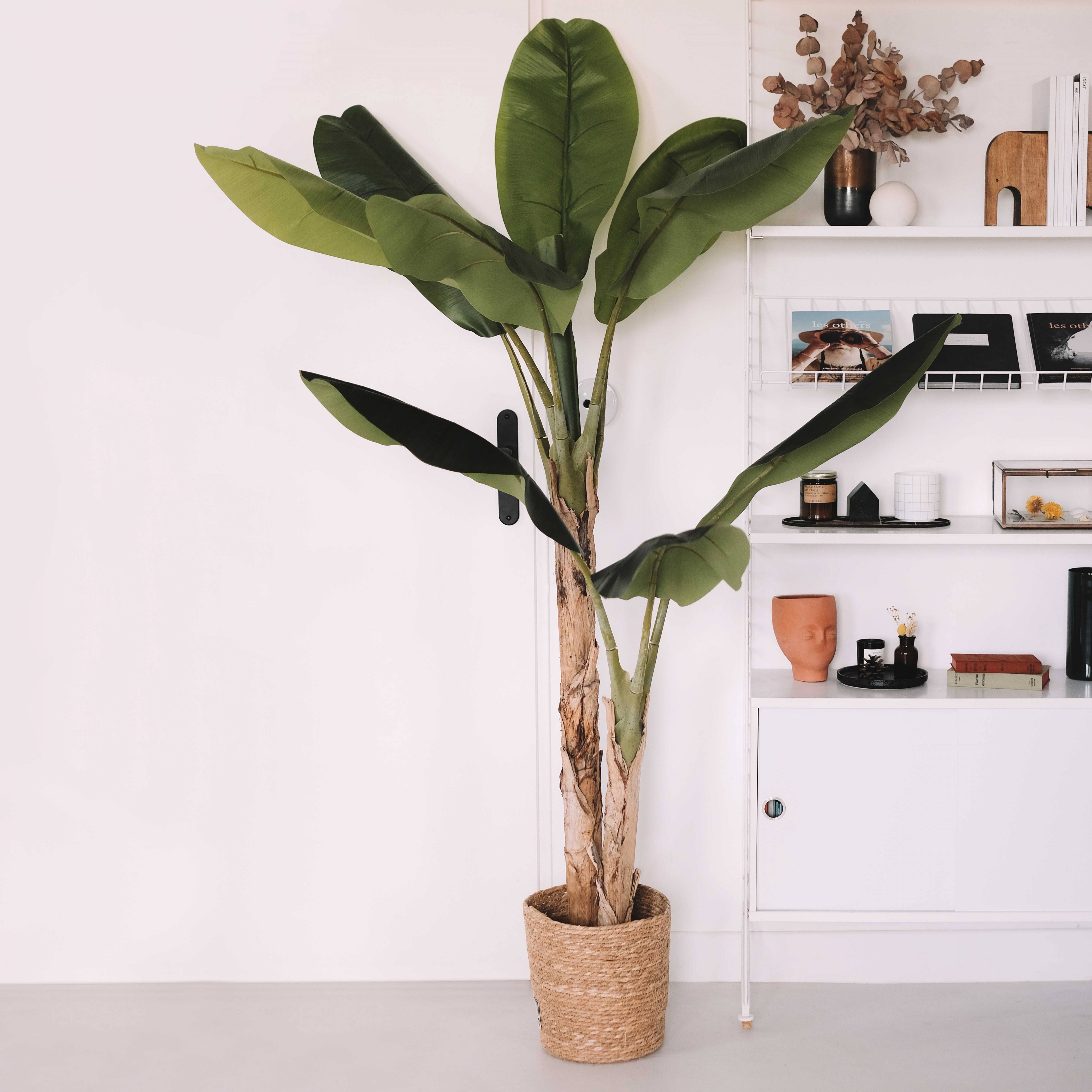 Oviala - Plante artificielle en pot Bananier 180 cm
- Oviala - Image 2