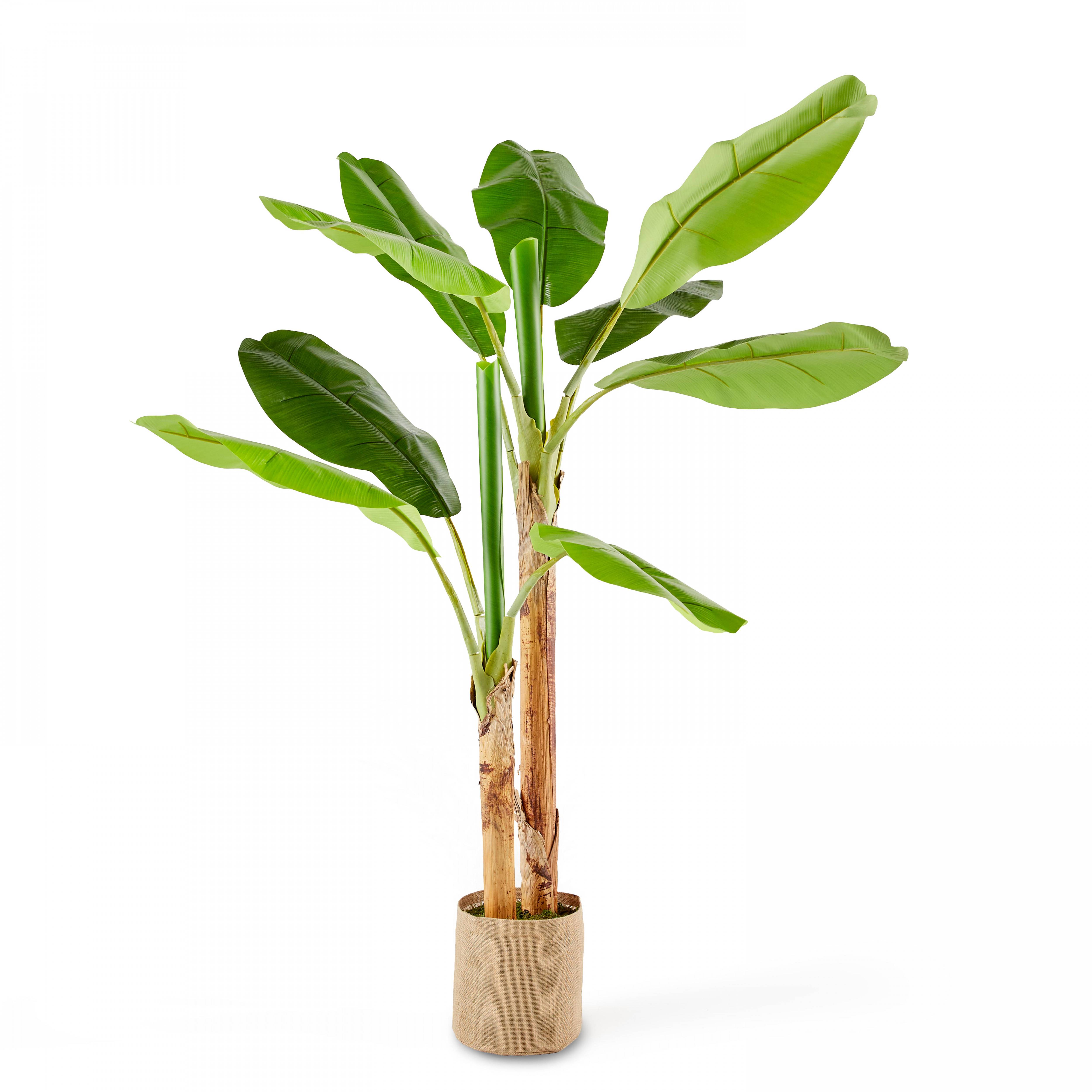 Oviala - Plante artificielle en pot Bananier 180 cm
- Oviala - Image 1